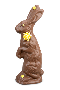 rabbit-25-inch_6013